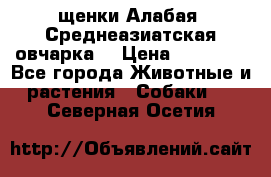 щенки Алабая (Среднеазиатская овчарка) › Цена ­ 15 000 - Все города Животные и растения » Собаки   . Северная Осетия